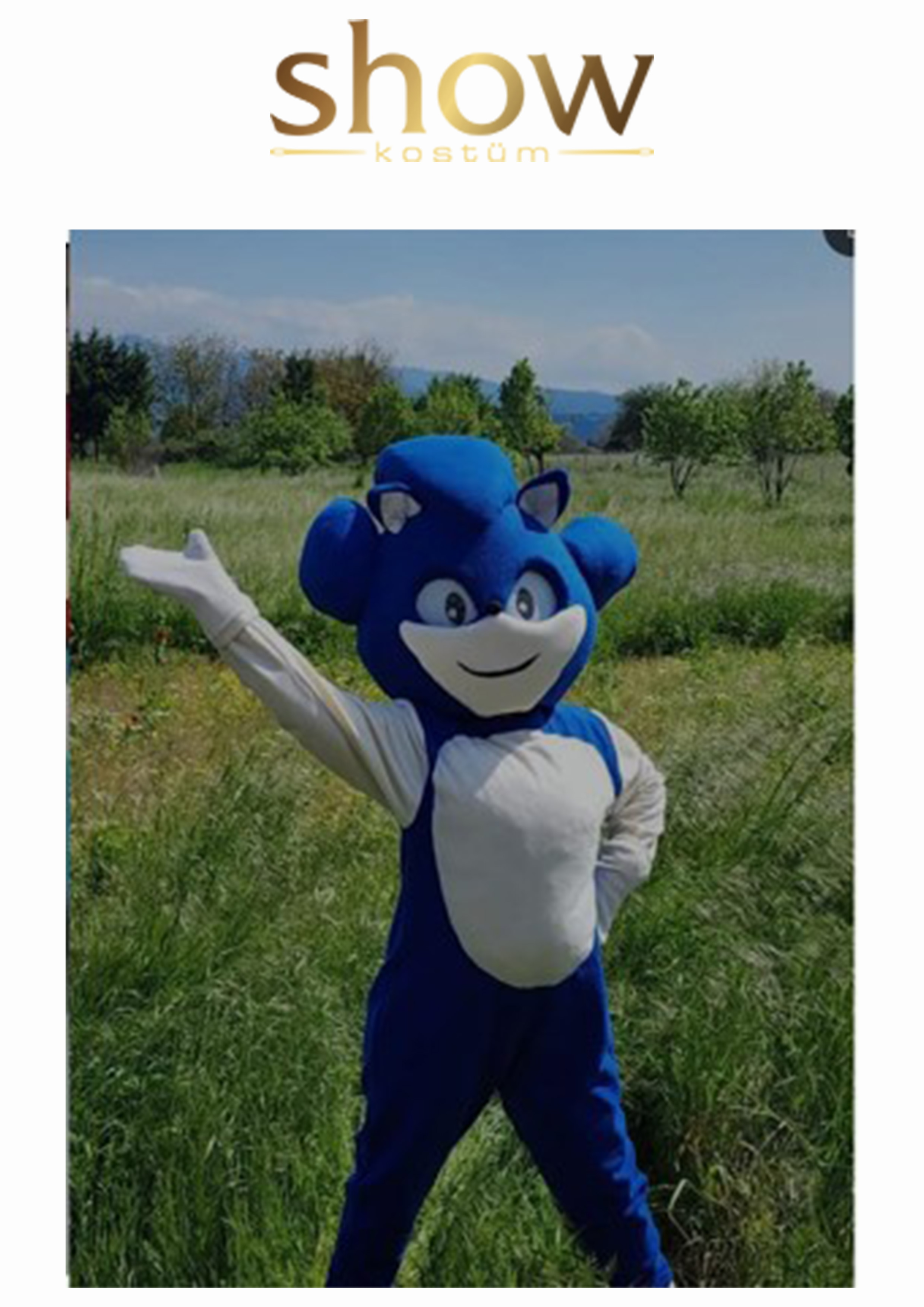 sonic-maskotu